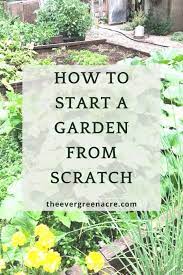 How To Start A Garden From Scratch