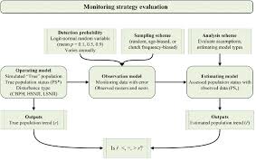 Flow Chart For Monitoring Strategy Evaluation Mose Green