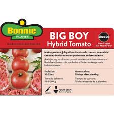 Bonnie Plants 2 32 Qt Big Boy Tomato
