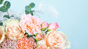 Jump to navigation jump to search. Best Mother S Day Flowers 2021 Bouquets For Mother S Day