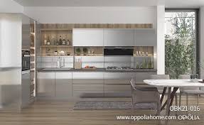 pet kitchen cabinets obk21 016