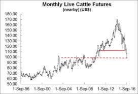 Low Prices And Plenty Of Headwinds For Cattle Market Hi