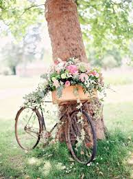 Diy Bicycle Planters With Vintage Vibe