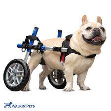 canine wheelchair canine mobility aid