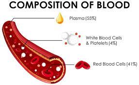 komposisi jaringan darah