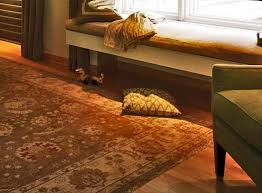 carpet area rugs oriental rugs