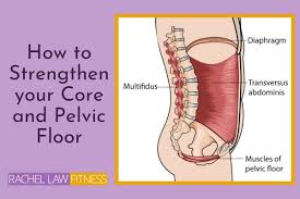 strengthen your core and pelvic floor