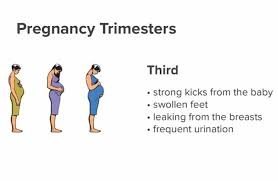 3rd trimester pregnancy care symptoms