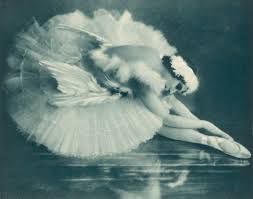 Anna Pavlova dancing Swan Lake (Photos Framed, Prints, Puzzles,  Posters,...) #4425367