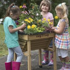 Buy Kids Raised Planters At Best