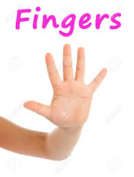 Close Up Of A Young Girls Hand And Fingers On A White Background