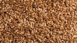 understanding carpet fibers and pile cuts