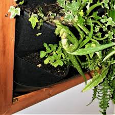 Looking for a diy indoor plant wall ideas? Living Green Plant Wall Bring The Jungle To Your Kitchen