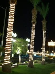 tree rope lights off 71
