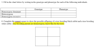 Fill In The Chart Below By Writing In The Genotype And