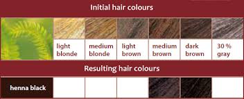 Logona Herbal Hair Colour Powder Henna Black