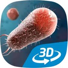 Unity builds your project into an android apk, installs it on the device, and launches it. Bacteria Interactive Educational Vr 3d Apk 1 21 Download For Android Download Bacteria Interactive Educational Vr 3d Apk Latest Version Apkfab Com