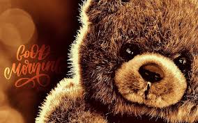 brown teddy bear hd wallpaper