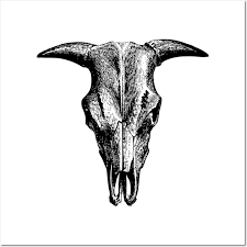 Cow Skull Posters And Art Prints