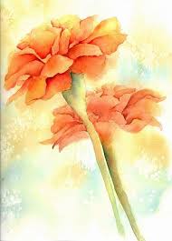 Great video footage that you won't find anywhere else. Ronah S Marigold In 2020 Flower Art Watercolor Art Art