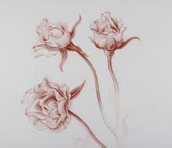 learn how to draw a flower and other