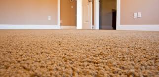 carpet cleaning utah county 1 in