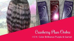 Ion Color Brilliance Purple Garnet Ombre Youtube