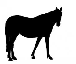 horse black silhouette beautiful