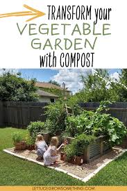 vegetable garden with compost