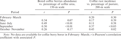 bored coffee berry abundance