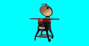 best grills 2023 charcoal gas
