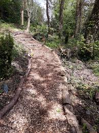 Woodland Walk Terraced Garden By