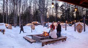 things to do in michigan in winter