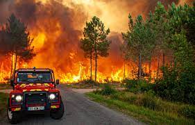 Incendies en Gironde : La piste criminelle privilégiée pour le feu de  Landiras où 4.500 hectares sont partis en fumée