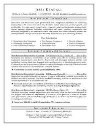 resume headline for sales job thesis for why women smile ancient     VisualCV Business Development Manager Resume