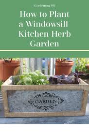 windowsill kitchen herb garden