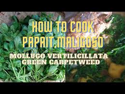 how to cook papait maligoso mollugo