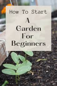 Simple Steps To Start A Garden For The