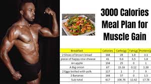 meal plan for muscle gain