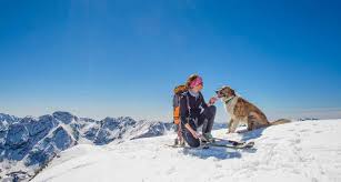 dog friendly ski towns to check out