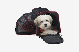 If your kennel is not collapsible it cannot exceed the undersea dimensions of the aircraft. The 6 Best Airline Approved Pet Carriers The Strategist New York Magazine