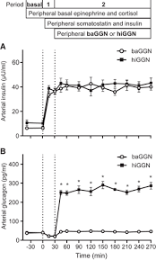 Here, we directly test the ketogenic role of glucagon in mice,. The Kinetics Of Glucagon Action On The Liver During Insulin Induced Hypoglycemia American Journal Of Physiology Endocrinology And Metabolism