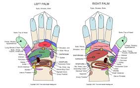 Know Your Hand Pressure Point Hand Reflexology Chart