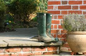 wellie wisdom rushfields plant centre