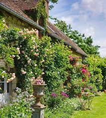 Country Gardening Cottage Garden