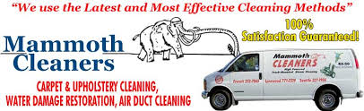 carpet cleaning everett wa for the