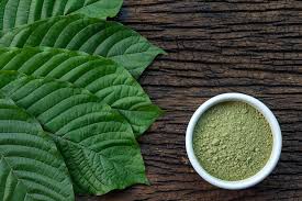 What is Kratom; and What Are its Health Impacts? | Gentle Dental