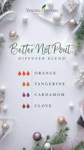 christmas diffuser blends young