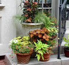 how to take your potted plants to a new
