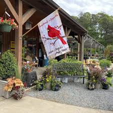 nurseries gardening near ramseur nc